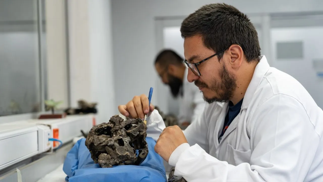 Paleontólogo del SGC preparando fósil del mosasaurio.